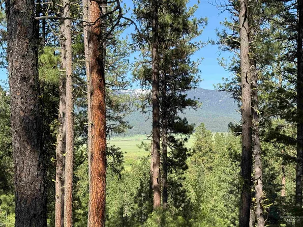 3951 Hot Springs Rd #4, New Meadows, ID 83654