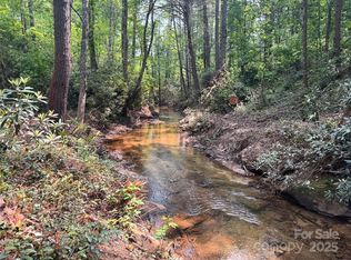 45 S Stones Lake Rd, Cedar Mountain, NC 28718