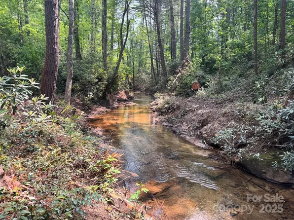 45 S Stones Lake Rd, Cedar Mountain, NC 28718