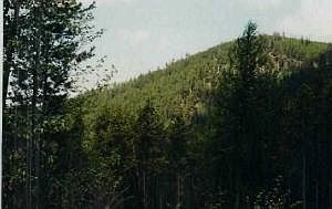 2nd image of 0 Flowery Trail Rd