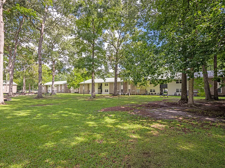 Sawbranch Apartments — Photo 40