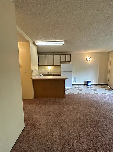 4130 11th Ave NE #1004 Photo 1