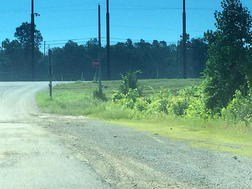 2nd image of 6369 Lemay Ferry Rd