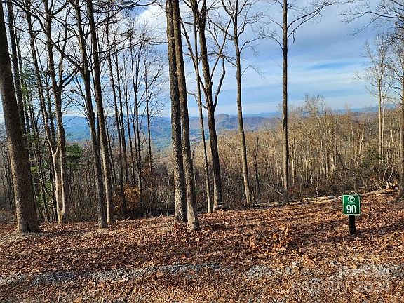 4th image of LOT 90 Wilderness Creek Way
