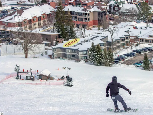 346 Crystal Mountain Dr Unit 12400-346, Thompsonville, MI 49683