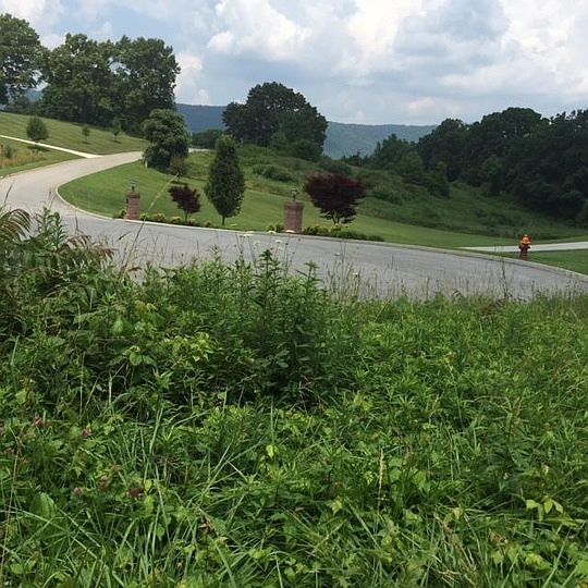 2nd image of Rolling Hills Ln