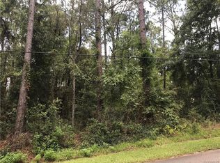 1076 W Olympia St, Hernando, FL 34442