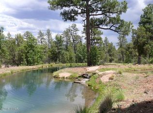 761 S Barberry Ln, Show Low, AZ 85901