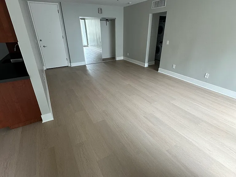 Entry and Bonus Closet in Living Area