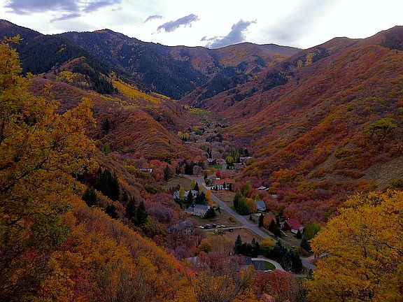 2nd image of 10633 S Covered Bridge Cyn