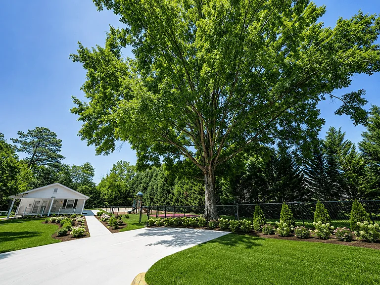 Timberstone — Photo 15