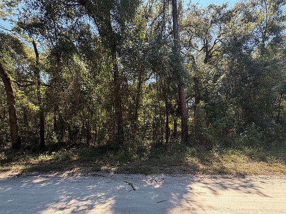 2nd image of 0 NE Gold Dust Rd