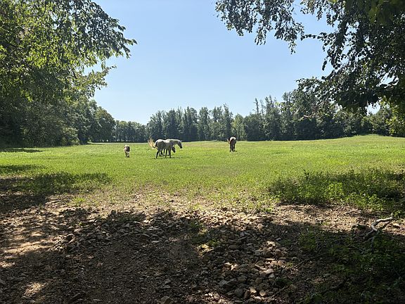 5th image of 205 Smith Cemetary Ln