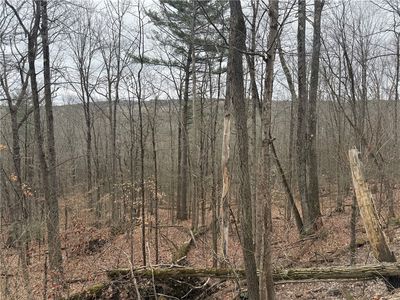 Winding Stair Rd Lot 31, Hammondsport, NY, 14840