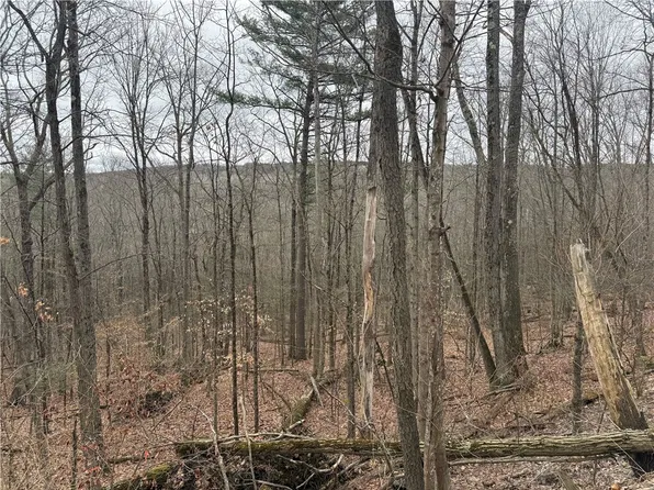 Winding Stair Rd Lot 31, Hammondsport, NY 14840