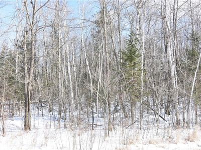 10 Acres Range Line Road, Glen Flora, WI, 54526
