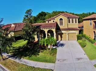 20324 Chestnut Grove Dr, Tampa, FL 33647