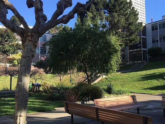 4th image of 1465 Laguna St APT 4