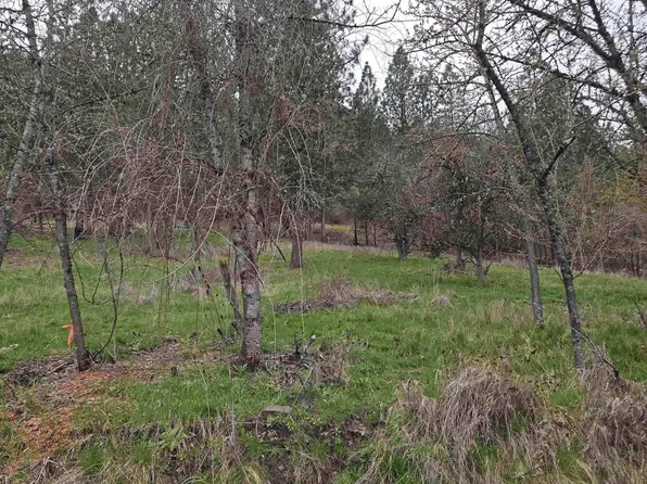 Pine St Lot 2, Peck, ID 83545