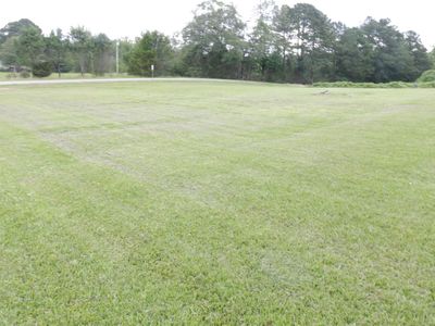 1492 Websters Chapel Rd #1, Wellington, AL, 36279