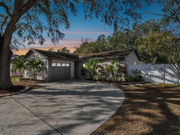 14005 ARBOR KNOLL CIRCLE, TAMPA, FL 33625