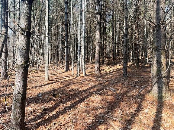 2nd image of 13 Chances Creek Rd