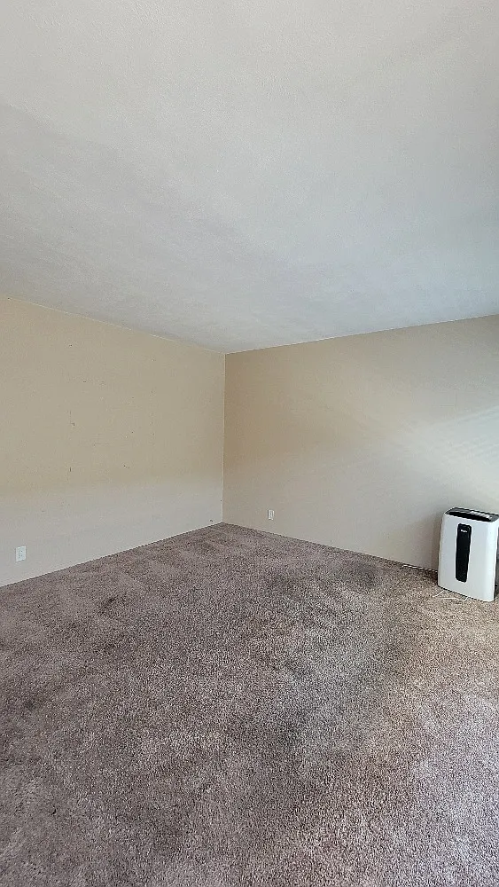 1 bed, 750 sqft, $2,395 — Photo 4
