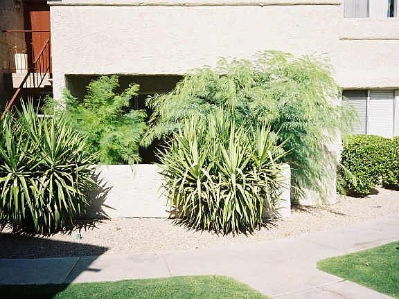 2nd image of 4444 E PARADISE VILLAGE #160