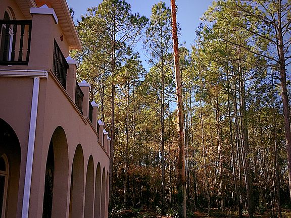 Side view front yard