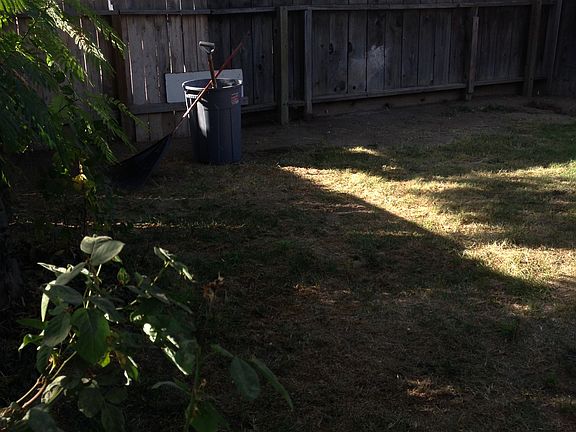 backyard and carport