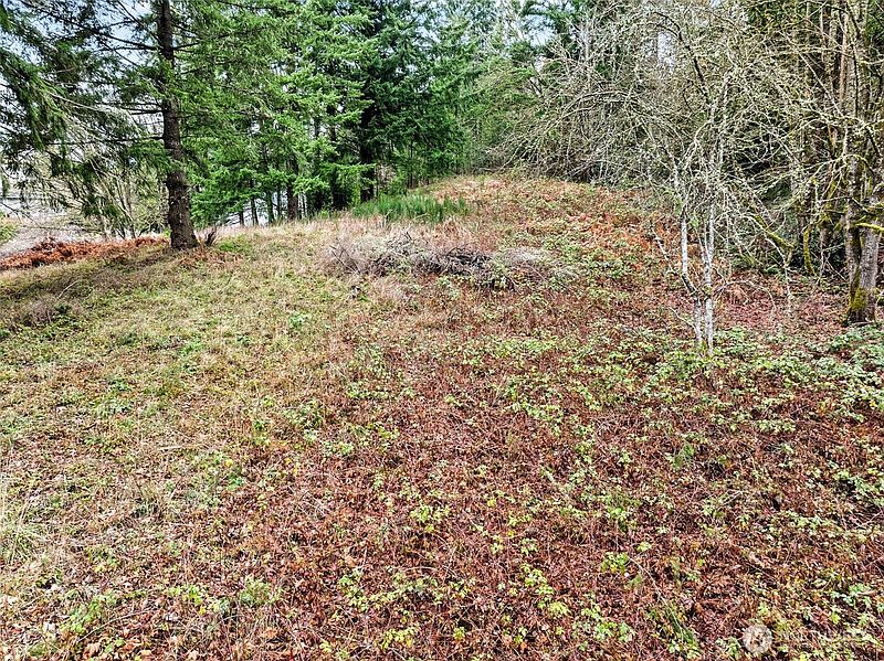 2nd image of 7 7th Avenue SW