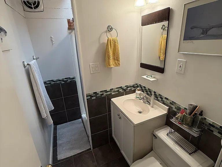 Bathroom shower no tub