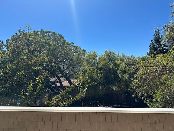 View from front balcony