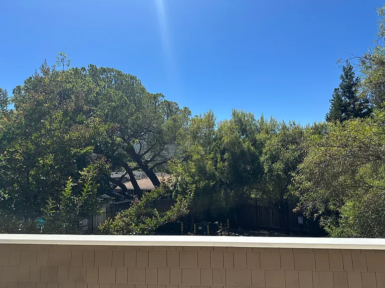 View from front balcony