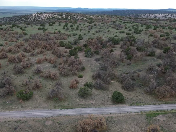 15 River Ln #52, Quemado, NM 87829