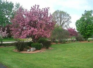 CRAB TREE ROAD FRONTAGE