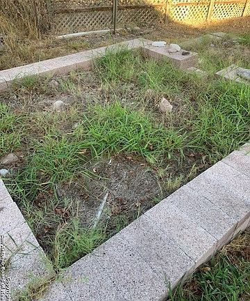 2nd image of 119 Little Creek Dr