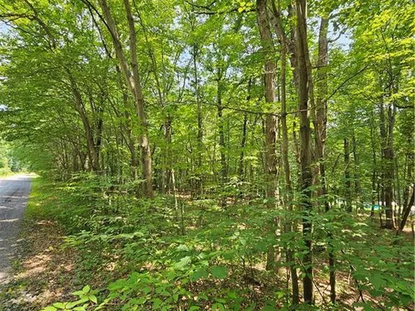 Dowbush Rd, Lehighton, PA 18235