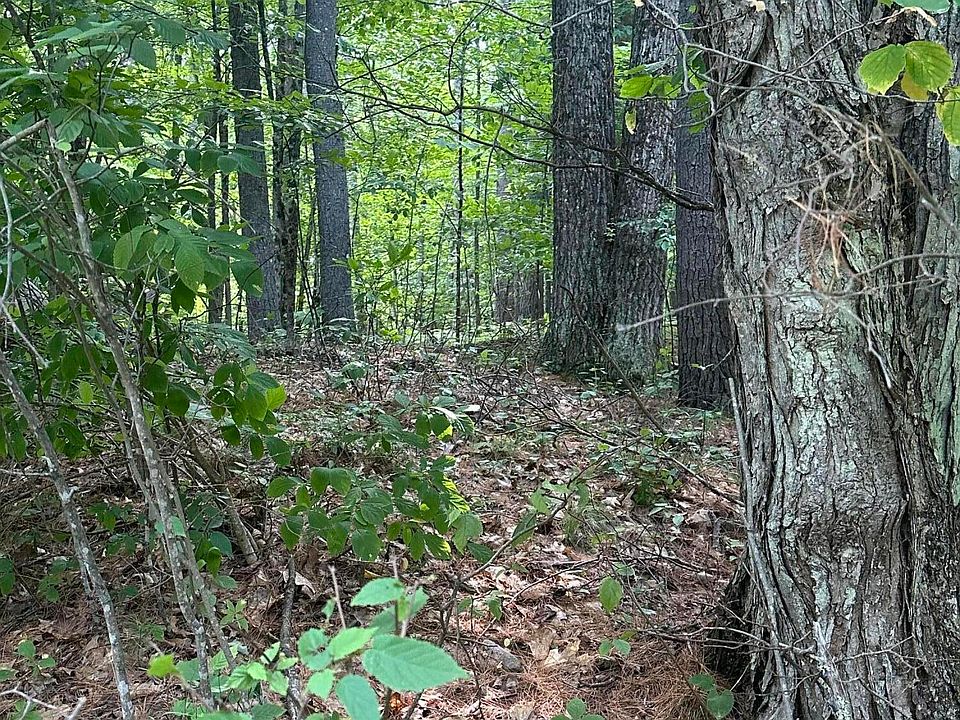 2nd image of 129 Cottontail Ln
