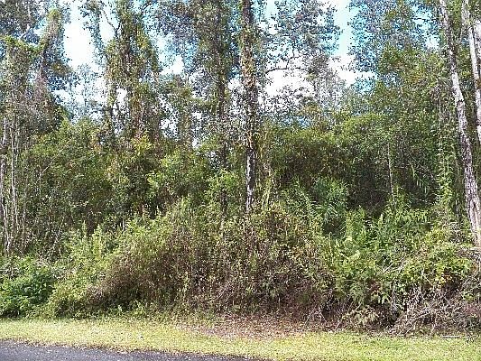 5th image of 16-2110 Silveroak Dr Lot 54
