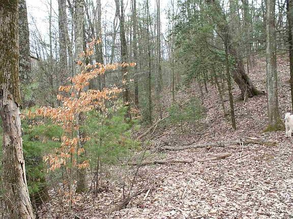 5th image of 0 Breezy Trail Way #0