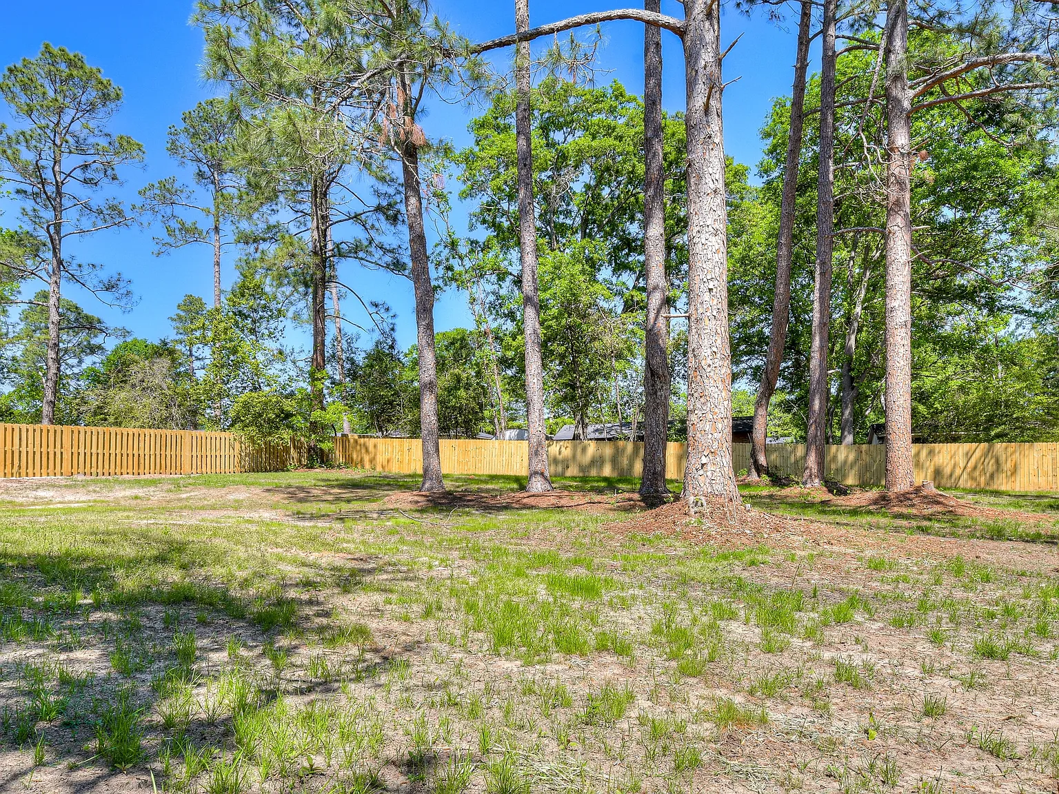 247 Merion Court - 1 — Photo 4