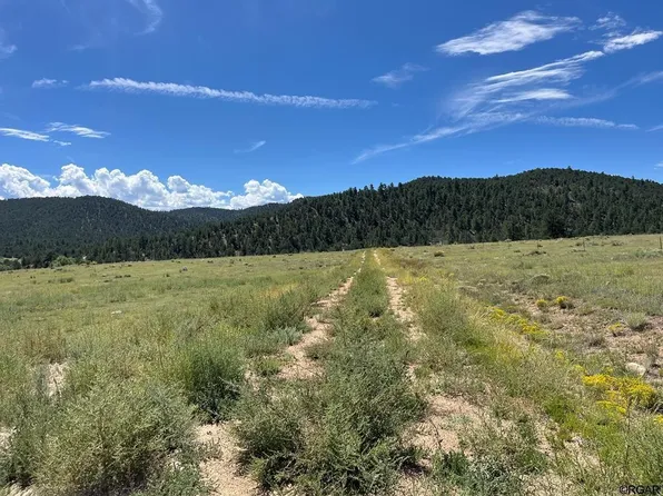 97 Pierce Gulch Rd, Cotopaxi, CO 81223