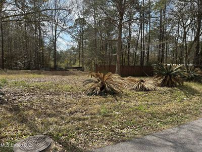 7737 Narcissus Dr, Gautier, MS, 39553