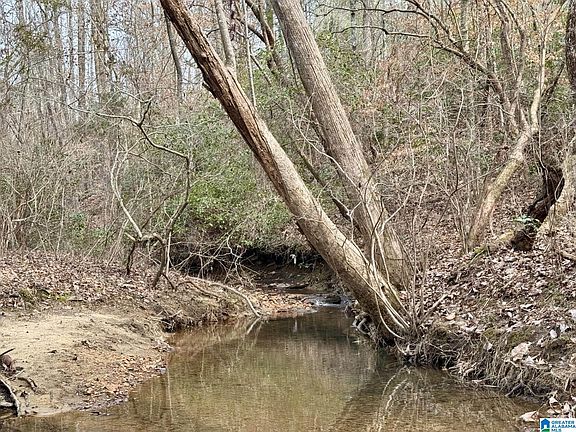 4th image of 1186 County Road 481 #0