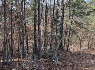 6.13 S Miller South Dr, Rising Fawn, GA 30738