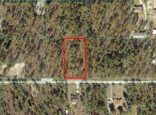 4 SW 98th St LOT 4, Dunnellon, FL 34431