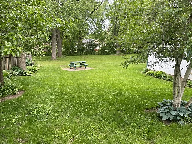 350 College St — Photo 17