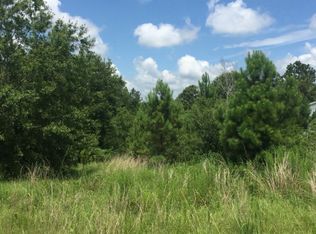 00217 Old Creek Rd, Picayune, MS 39466