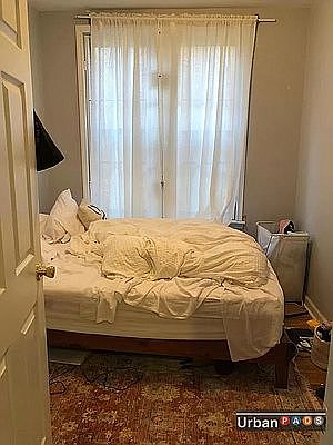 1st image of 1141 Bergen St APT 2
